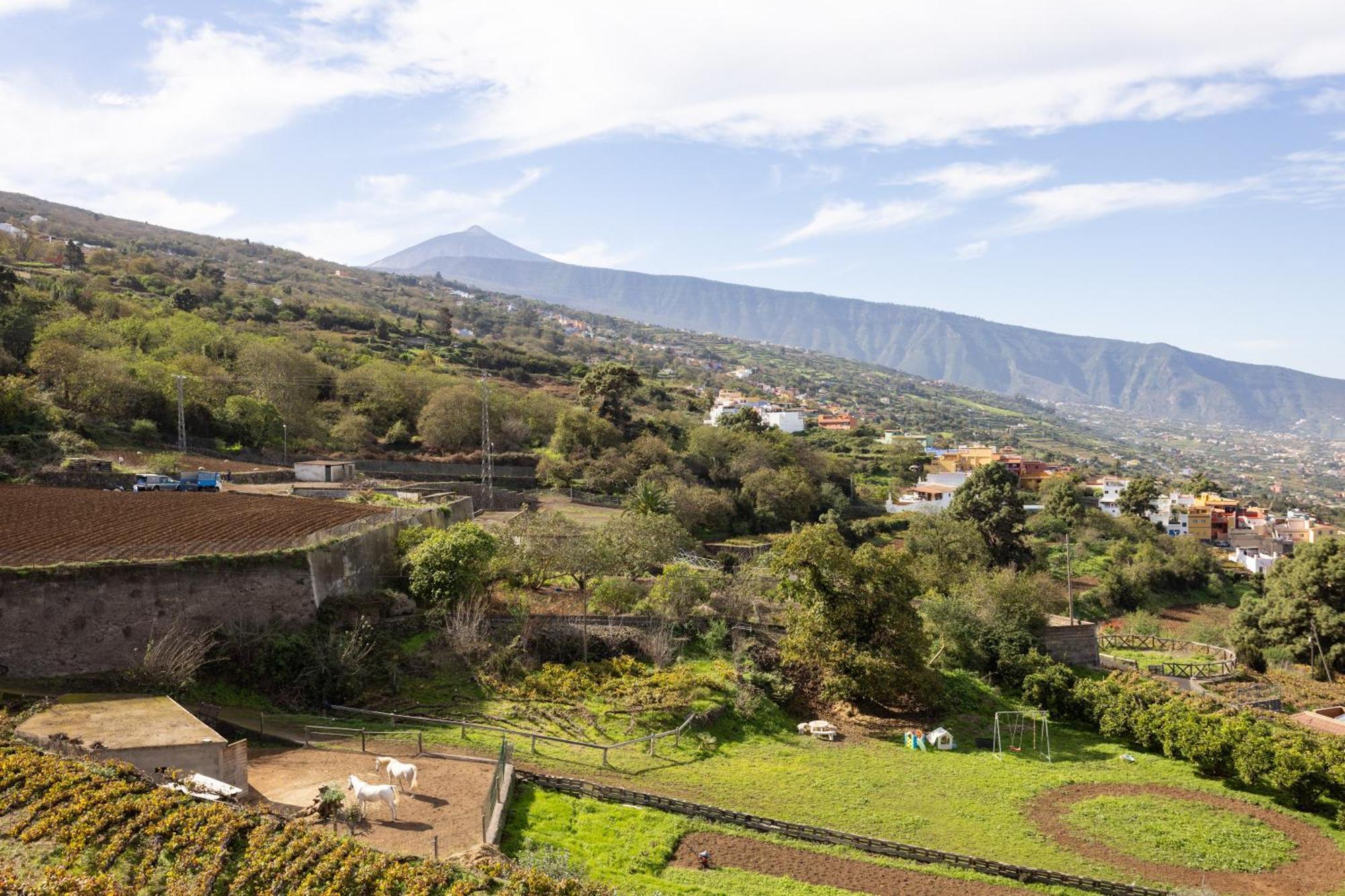 Ek Las Vistas Finca El Milagro La Orotava Exterior photo