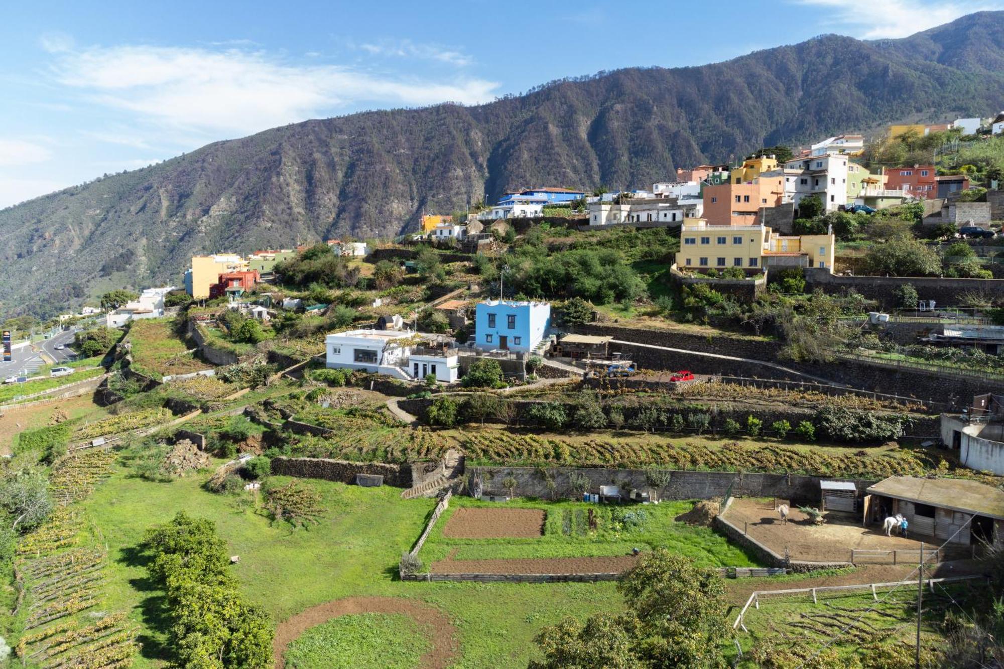 Ek Las Vistas Finca El Milagro La Orotava Exterior photo